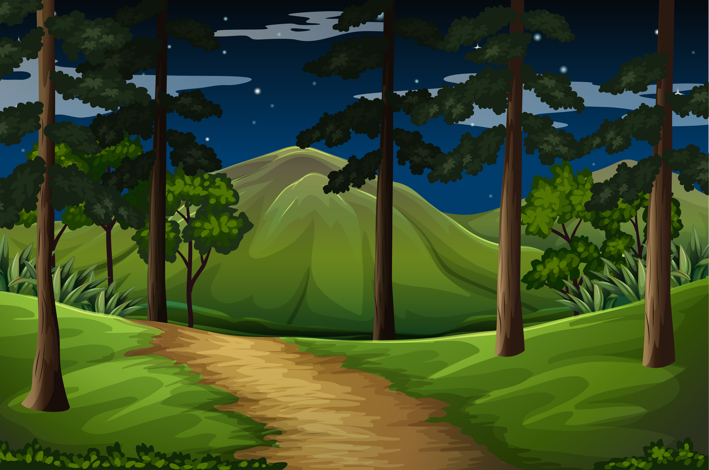 Forest scene with trail to the mountain